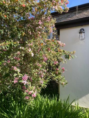 Tresithick Vean Bed And Breakfast