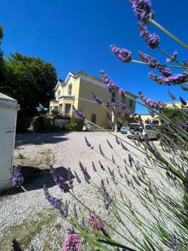 Apartamento Large Two Bed Two Bathroom Flat In Central Torquay