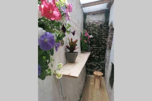 Apartamento Torquay Harbour, Charming Fisherman's Cottage