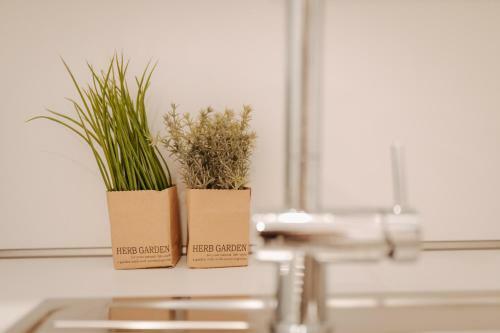 Apartamento Villa Fresena Bude 4