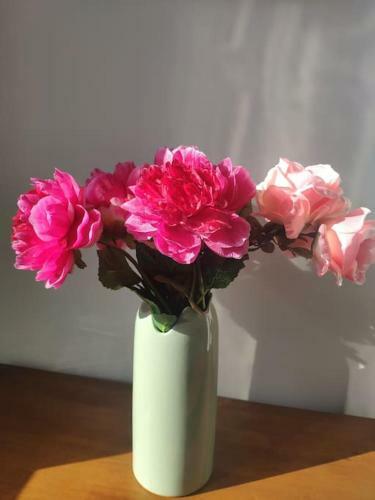 Apartamento Les Coquelicots