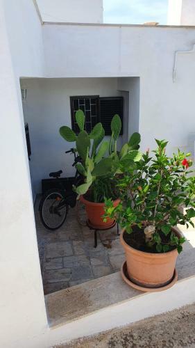Bed & Breakfast Familia