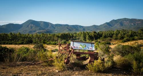 Ecovita Agri-glamping