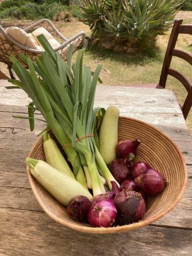 Ecovita Agri-glamping