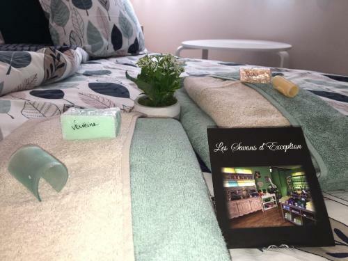 Apartamento Le Petit Paradis