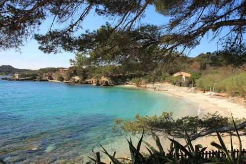 Apartamento Giens Proche Plage De Sable Fin Lesclesdenicole