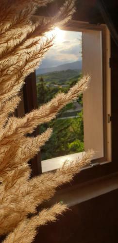Hostal Ca' Dea Gondola