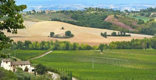 Villa Le Buche