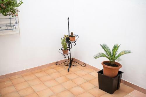 Apartamento Casa Valeriana