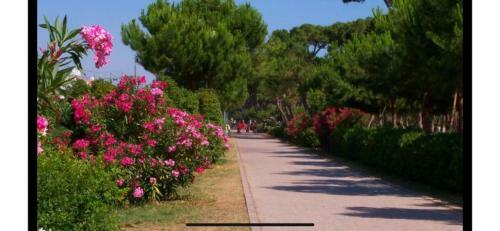 Apartamento Appartamento Condominio Dei Pini