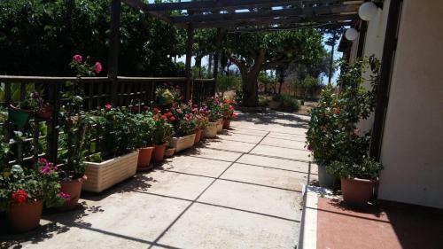 Bed & Breakfast Il Gazebo