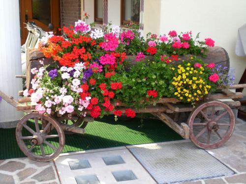 Park Hotel Arnica