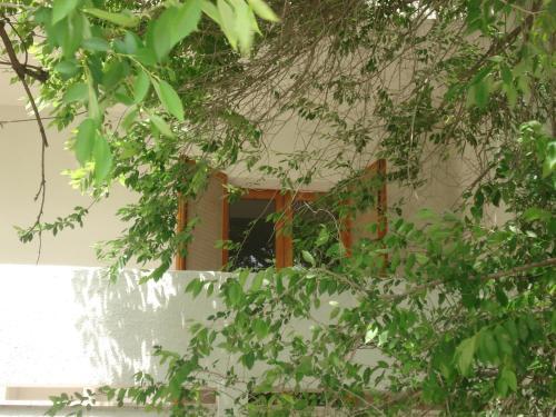 Apartamento Residence Orsa Minore