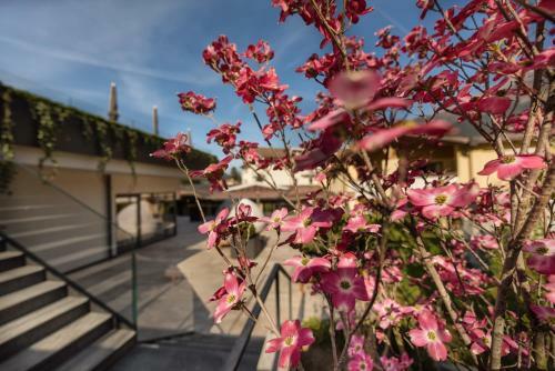 Hotel Paradies