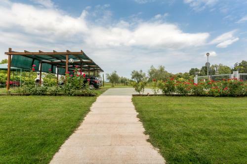 Apartamento Agriturismo Al Tralcio