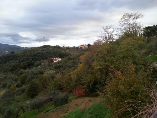 Gli Aceri B&B
