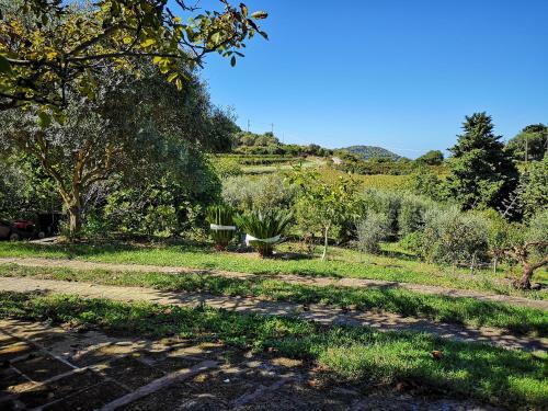 Apartamento La Tinaia