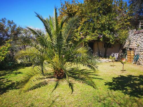 Apartamento La Tinaia
