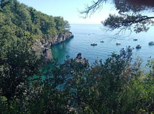 Apartamento 4 Pini Relax