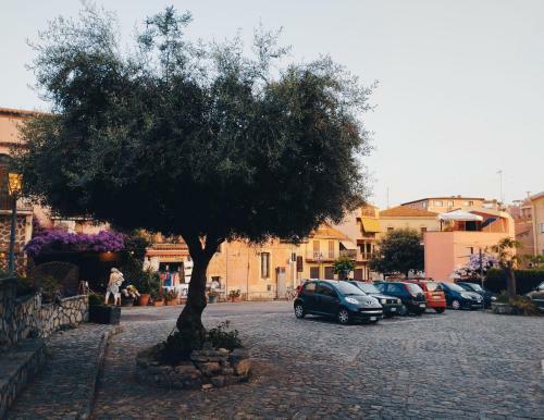 Bed & Breakfast Dimora Degli Enotri