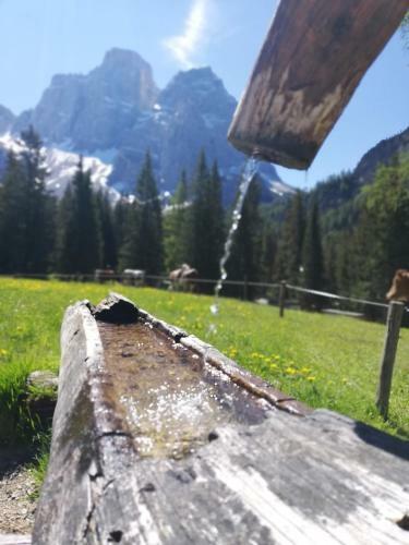 Apartamento Pelmo Mountain Lodge