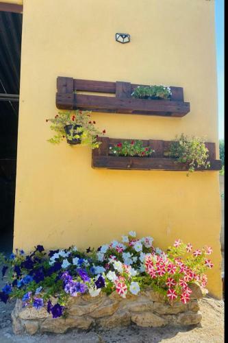 Apartamento Casa L'antica Botte