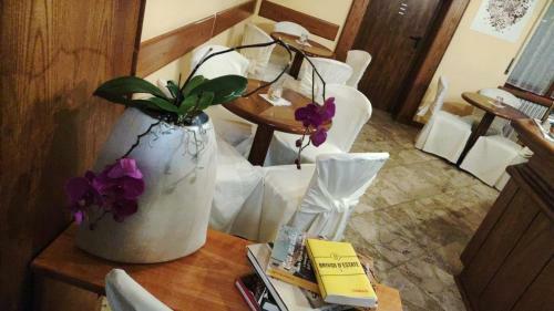 Hotel Rosalpina