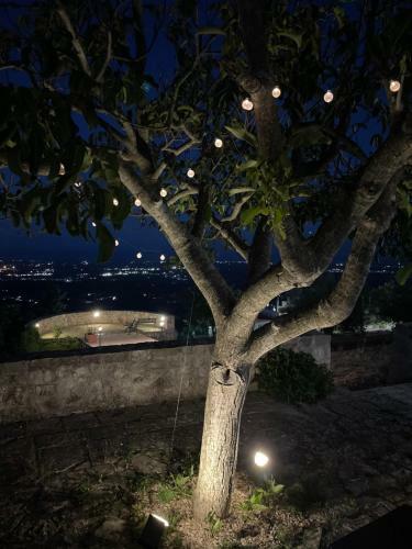 Belvedere Di Puglia Casa Vacanza
