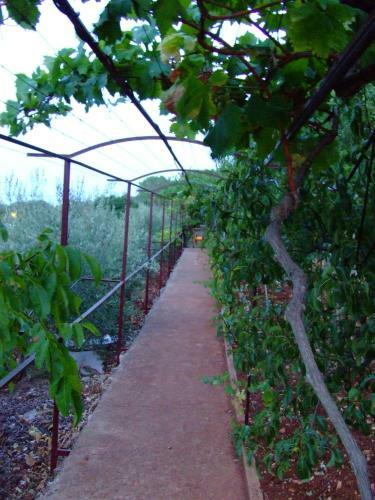 Apartamento Borgo Del Mirto