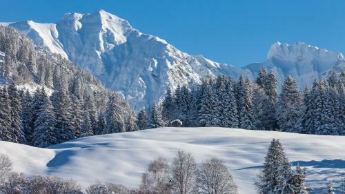 Apartamento Haus Am Teich - Fewo Relax Mit Sommer-bergbahnticket