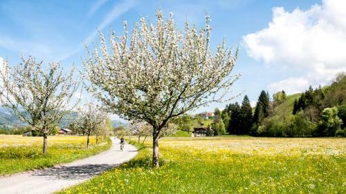 Apartamento Haus Am Teich - Fewo Relax Mit Sommer-bergbahnticket