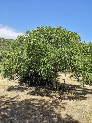 Ghiramonte, Vita In Campagna A Due Passi Dal Mare
