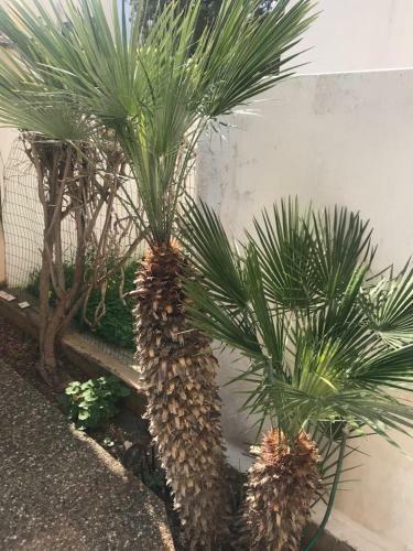 Casa Vacanze Mulino