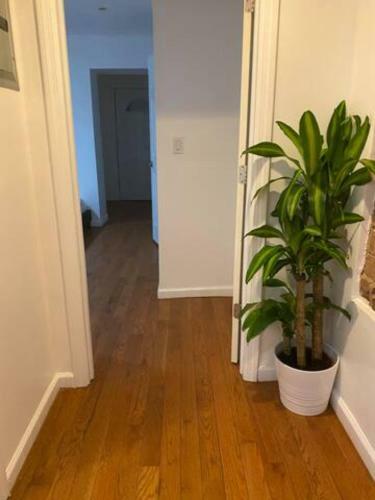2 Bedroom Two Baths Newly Renovated Apartment