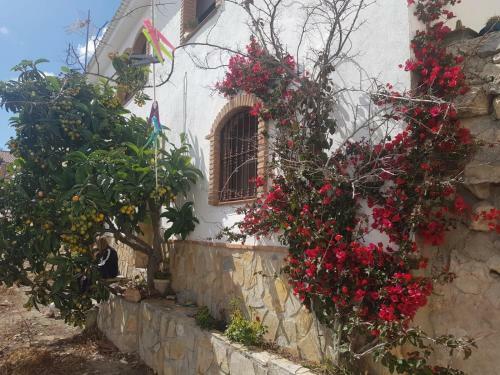 Las Palomas