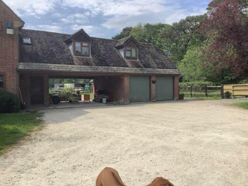 Beautiful 1-bed Apartment In Wareham Dorset