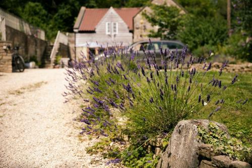 Beautiful Cottage Near Bath