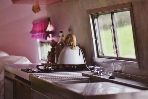 Pearl The Airstream