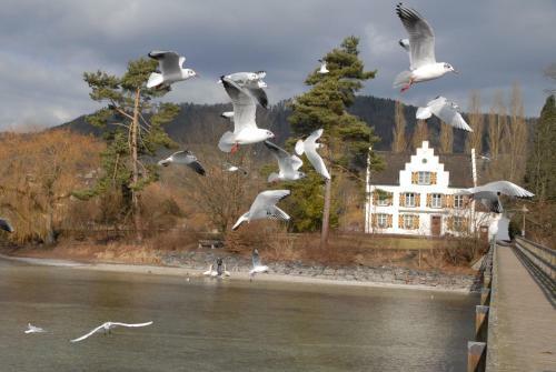 Hoeri Ferienhaus -lake Constance