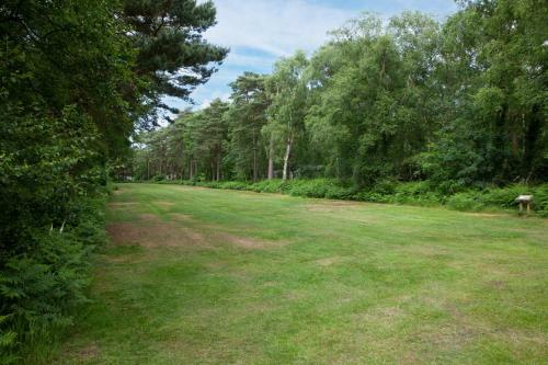 The Robin