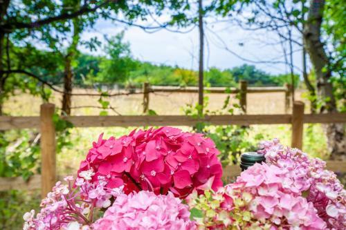 Norfolk Cottage Agency - Hazel Lodge