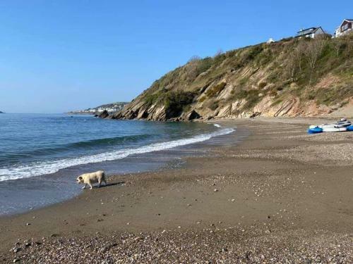 Pet Friendly 2 Bed Coastal Property - Millendreath, Looe
