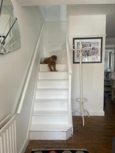 Little Nook
