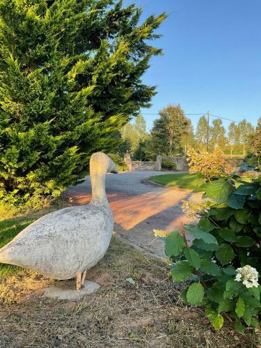 Bed & Breakfast Manoir Sainte Cecile