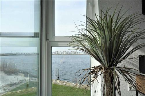 Apartamento Residenz Bollwark 2 1