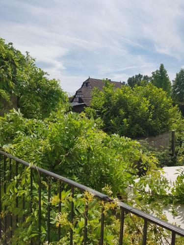 Apartamento C�t� Jardin