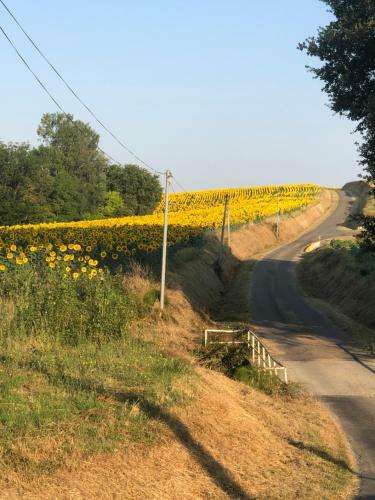 Bed & Breakfast Ch�teau De Lavail