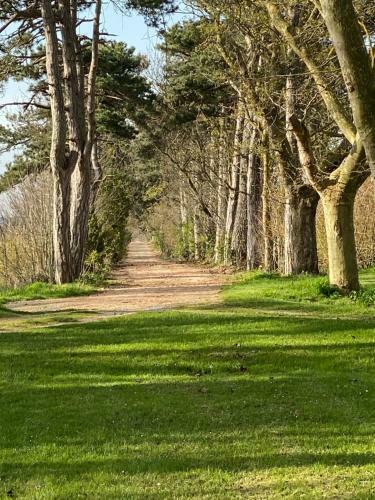 Bed & Breakfast Ch�teau De Lavail