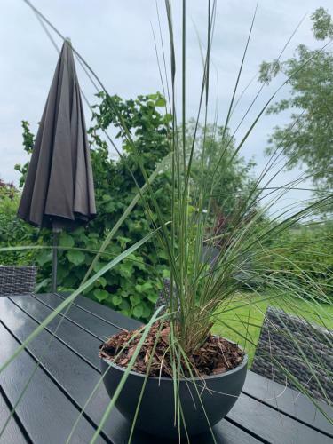Apartamento Ferienwohnung "an Den Wiesen"