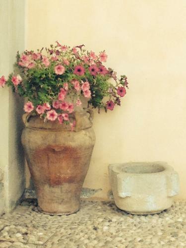 Apartamento La Volpera